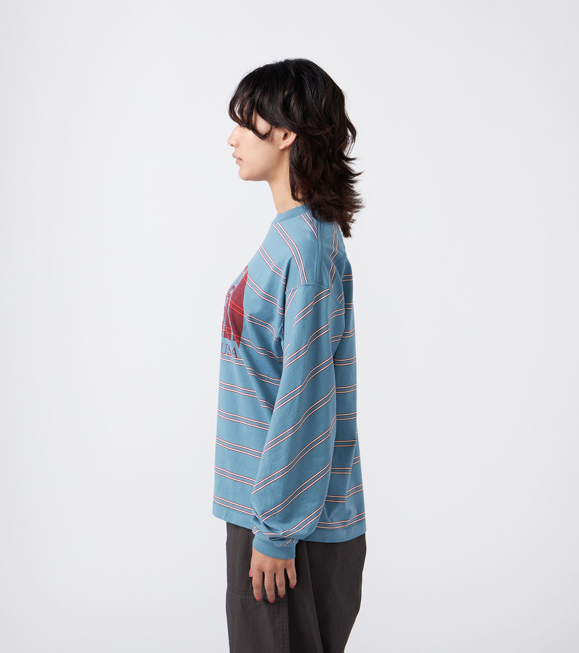 THE NORTH FACE Purple Label T-SHIRT Field Long Sleeve Striped Tee