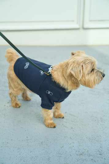 Picture No.1 of minä perhonen chouchodog wear AES8002WS