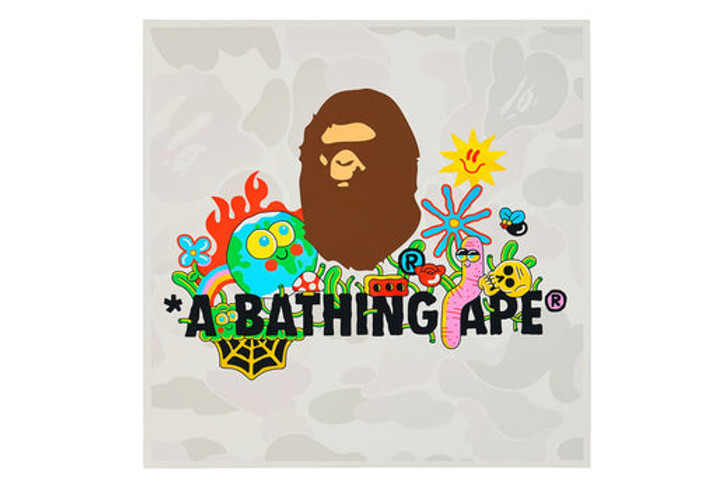 Picture No.1 of BAPE UNTITLED BY SAM TAYLOR 1J20-182-922