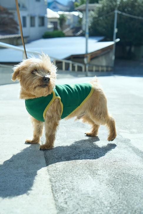 chouchodog wear AES8003WS