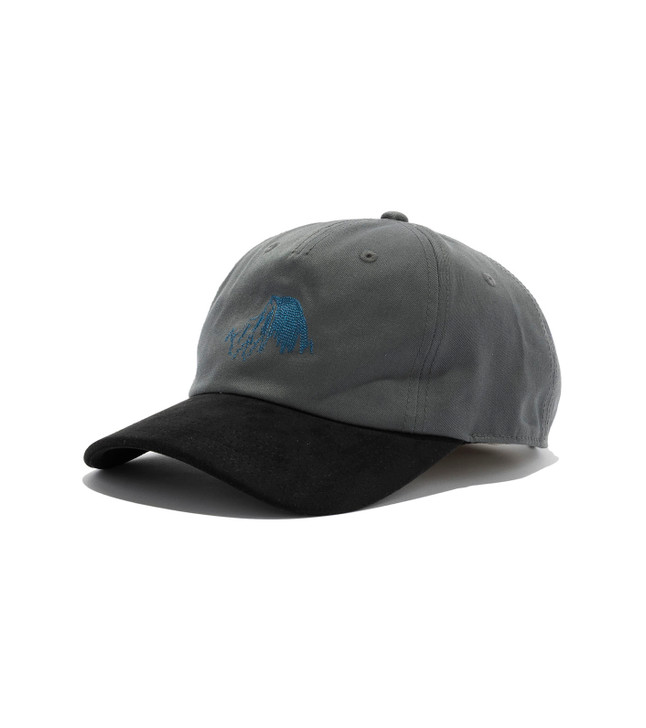 THE NORTH FACE Purple Label Field Graphic Cap N26SP045 8564