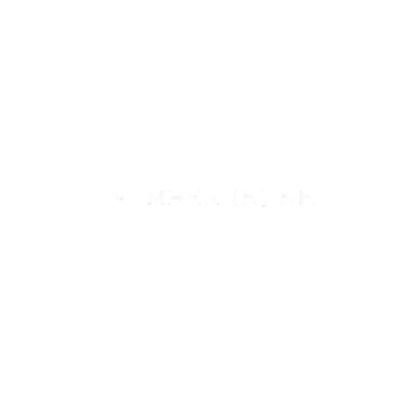 NUMBER (N)INE