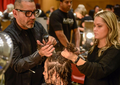 The Art of the Cut: Unveiling the Excellence of Professional Hair Shears