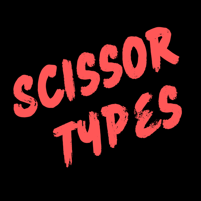  ⚙️ Shear Sharpening Training: Scissor Types Module — Understanding Professional Shear Designs 