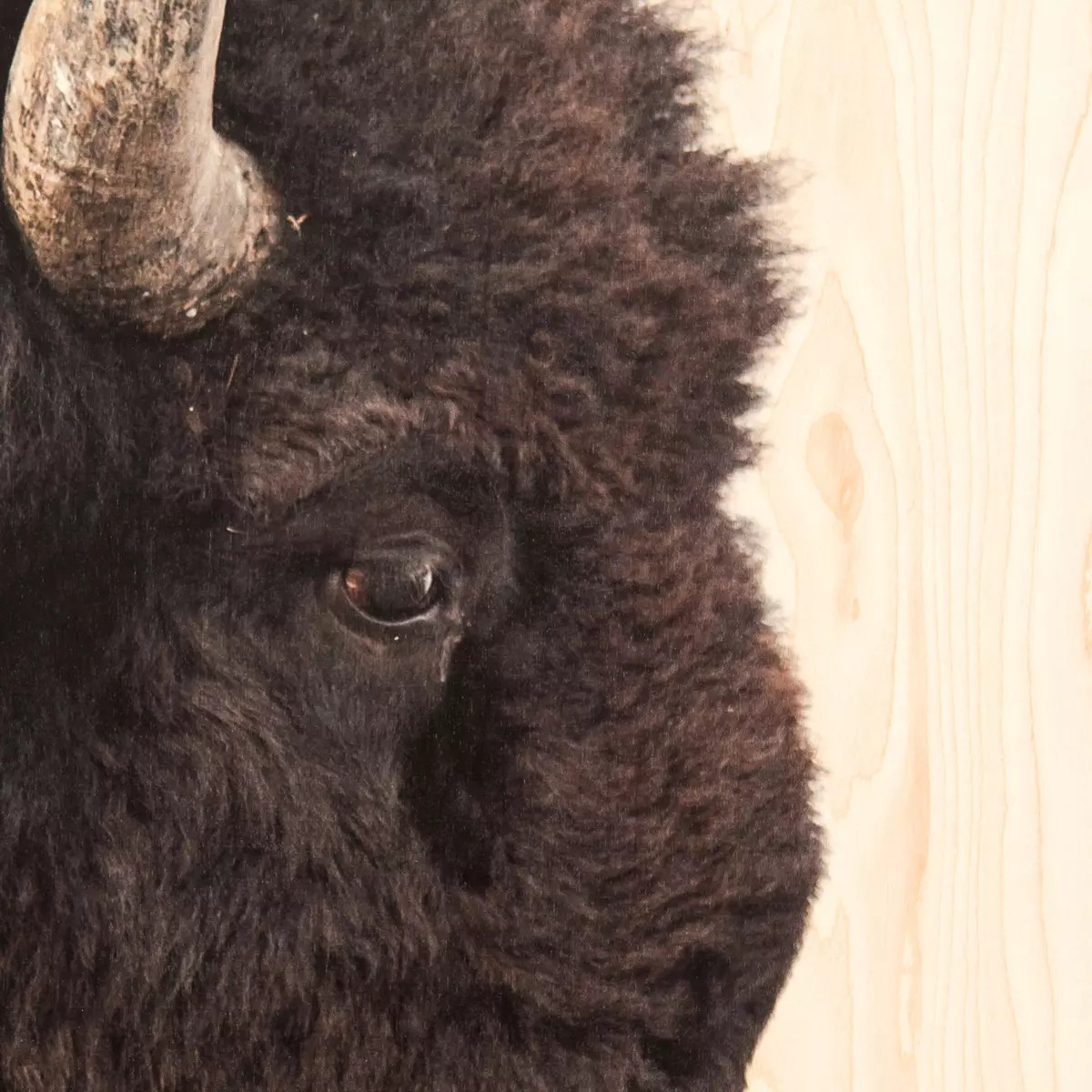 Four Hands American Bison - Thumbnail 3