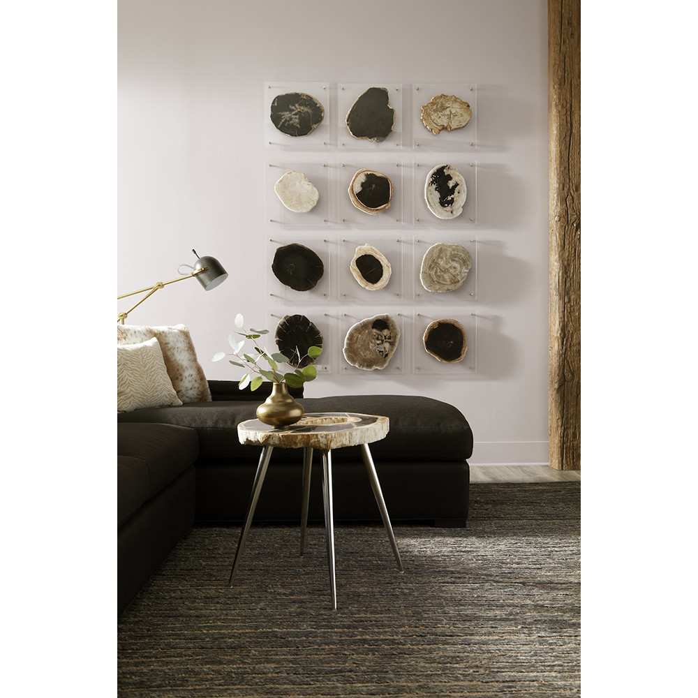 Phillips Collection Floating Petrified Slice Wall Art - Thumbnail 3