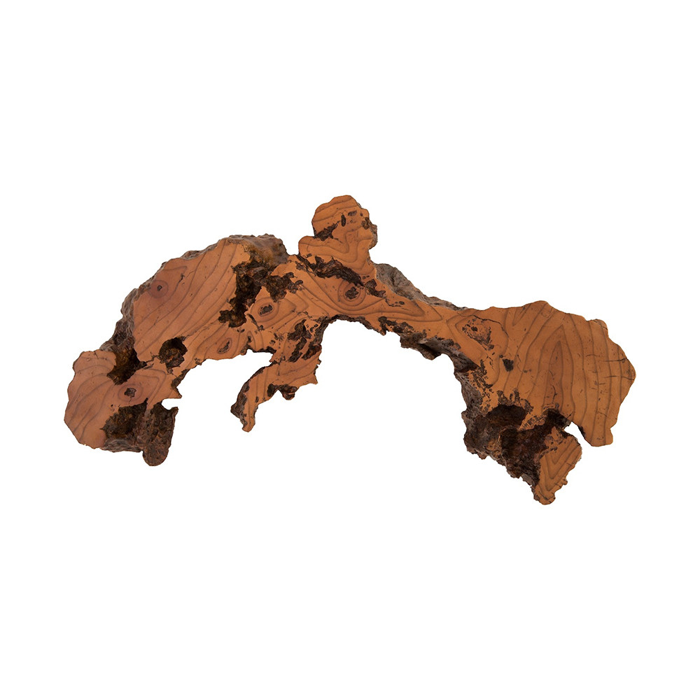 Phillips Collection Burled Root Wall Art - Thumbnail 2