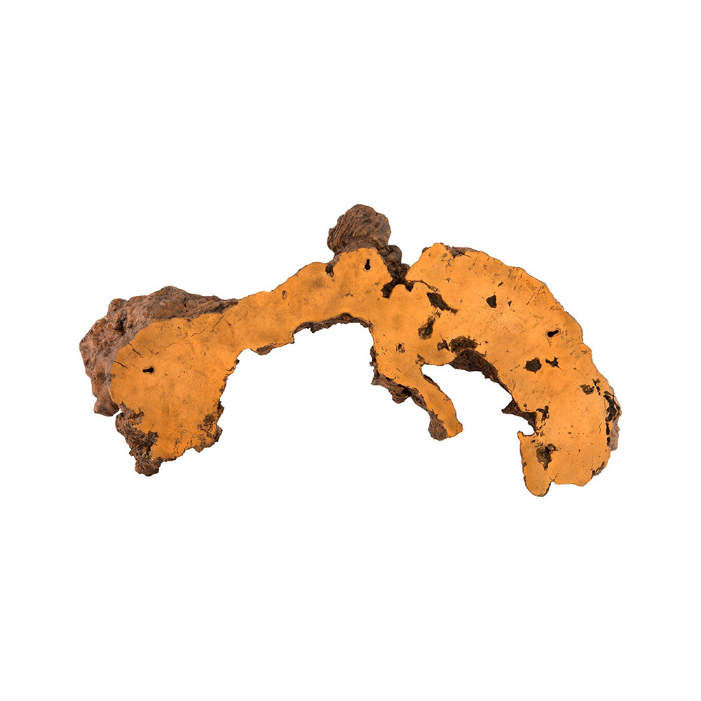 Phillips Collection Burled Root Wall Art - Thumbnail 4