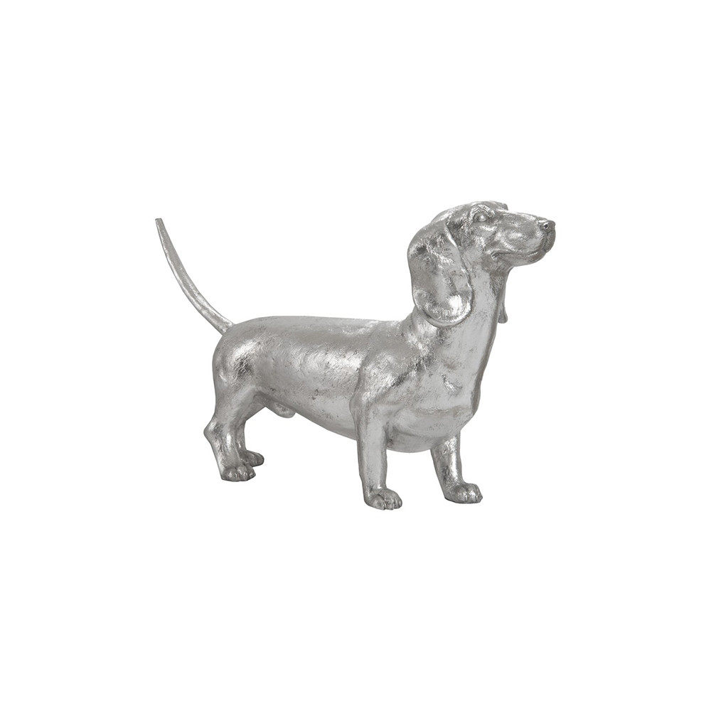 Dachshund - Thumbnail 5