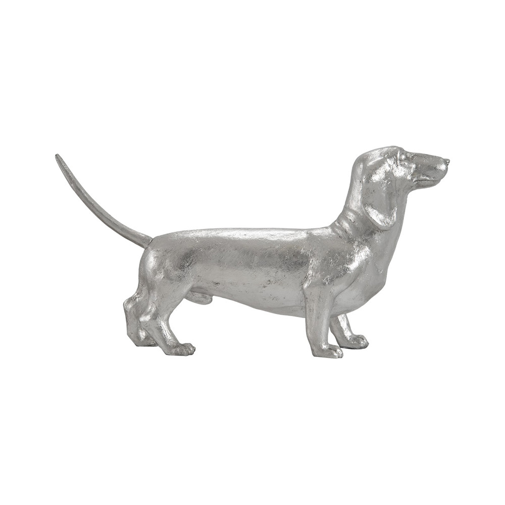 Dachshund - Thumbnail 4