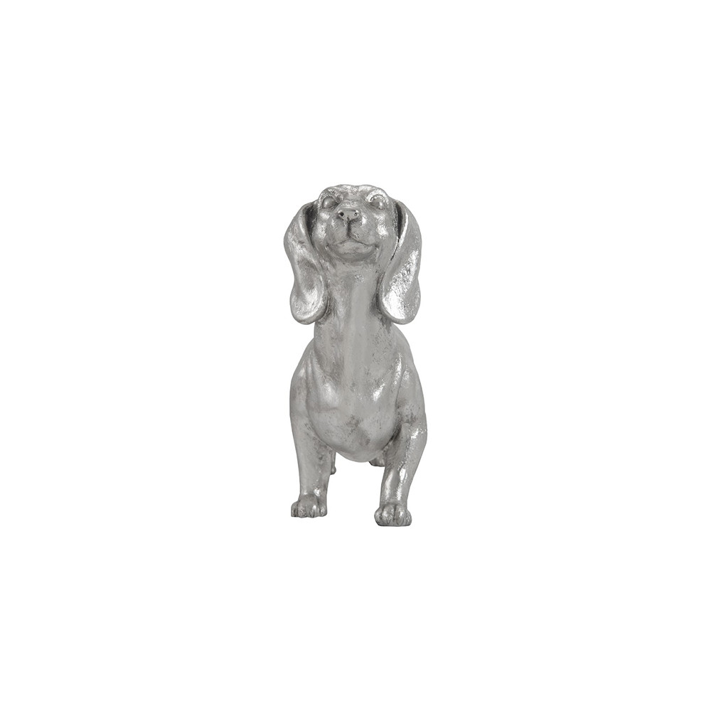 Dachshund - Thumbnail 3