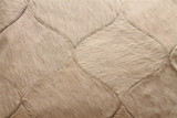 Cream/Off White Cow Hide Pattern Pillow image 1