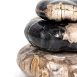 Four Hands Petrified Wood Organic Sculpture, Set Of 3