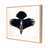 Four Hands Coyote Crow by Boyd Elder - 40"X30"