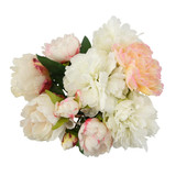 John Richard Peonies John Richard Peonies