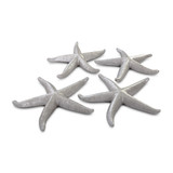 Phillips Collection Starfish - Silver Leaf - Set of 4 - LG Phillips Collection Starfish - Silver Leaf - Set of 4 - LG