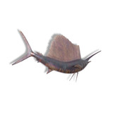 Phillips Collection Sail Fish Wall Sculpture - Resin - Copper Patina Finish (Closeout) Phillips Collection Sail Fish Wall Sculpture - Resin - Copper Patina Finish (Closeout)