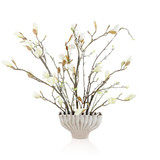John Richard Coffee Magnolias