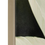 John Richard Victoria's Flower