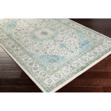 Surya Aberdine  Rug - ABE8004 - 5'2" x 7'6"