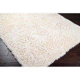 Surya Ashton  Rug - ASH1300 - 2' x 3'