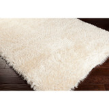 Surya Rhapsody  Rug - RHA1001 - 5' x 8'