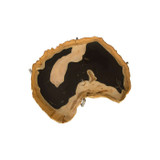 Phillips Collection Cast Petrified Wood Tray, Gold Leaf Edge, Resin, Stainless Steel Base