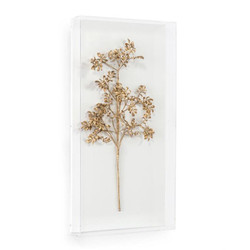 Gold Branch I - Clear Frame