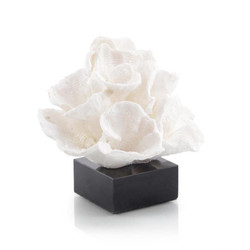 Foliose Coral on Black Marble Base