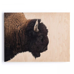 Four Hands American Bison by Getty Images - 40"X30" Four Hands American Bison by Getty Images - 40"X30"