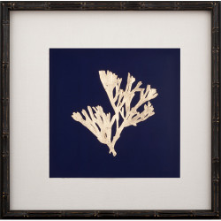 Gold Leaf Kelp on Navy Paper II