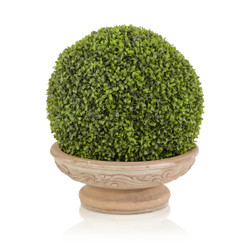 John Richard French Topiary