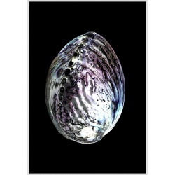 Wendover Mother of Pearl 4