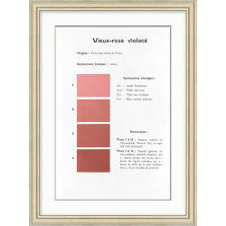 Wendover Pink 8