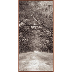Wendover Nature's Arch Triptych B