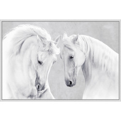 Wendover White Stallions