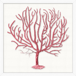 Wendover Red Branch Coral 5 Wendover Red Branch Coral 5