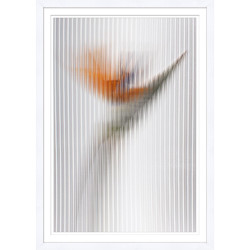 Wendover Screen Safer 1