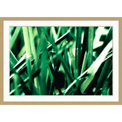 Wendover Perspective Matters 1