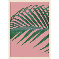 Wendover Editorial Vegitation 4