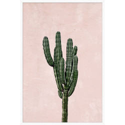 Wendover Pink Cacti 1 Wendover Pink Cacti 1