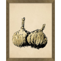 Wendover Sketched Garlic Wendover Sketched Garlic