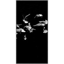 Wendover Fly Together 2