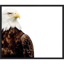 Wendover Eagle's Watch