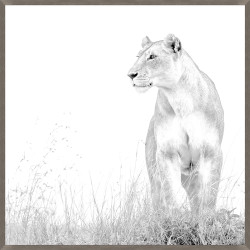 Wendover Wild Calling 4