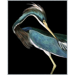 Wendover Stately Heron 2