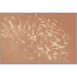 Wendover Swimming in Blush 1