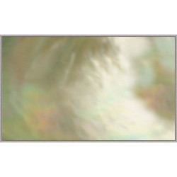 Wendover The World Is Your Oyster 1