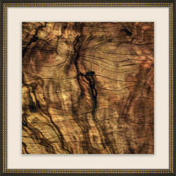 Wendover Exposed Burl 2