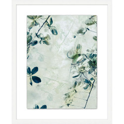 Wendover Spa Flowers 2